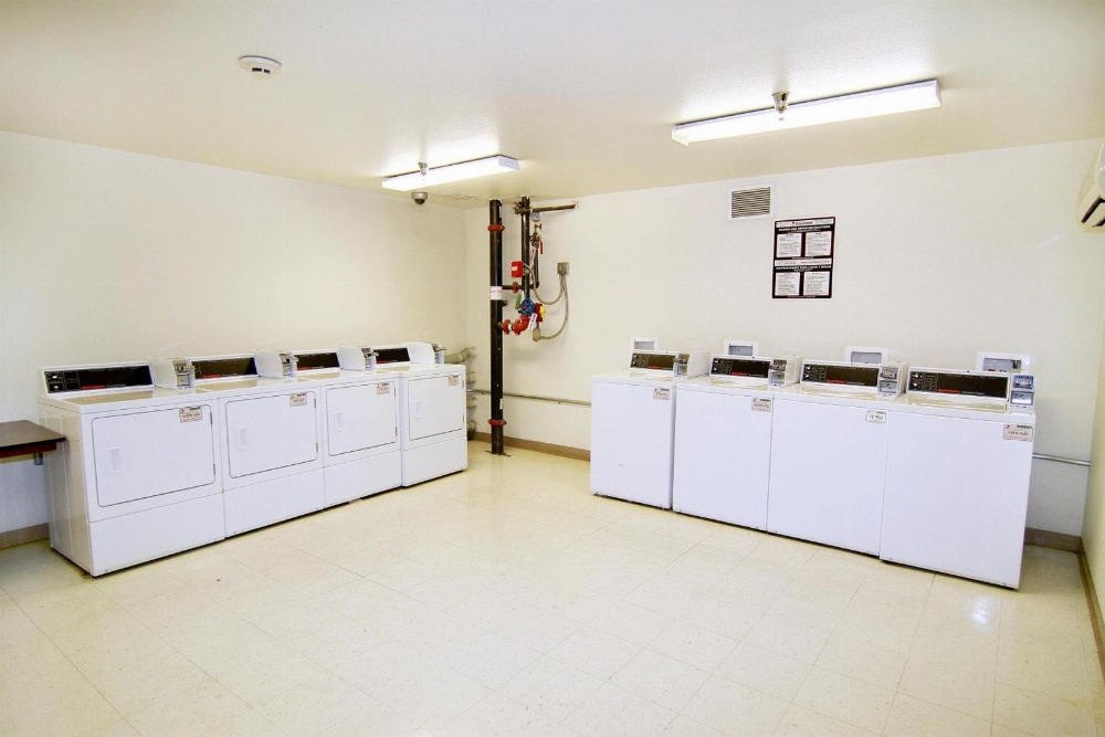 Siegel Select Flamingo Main image