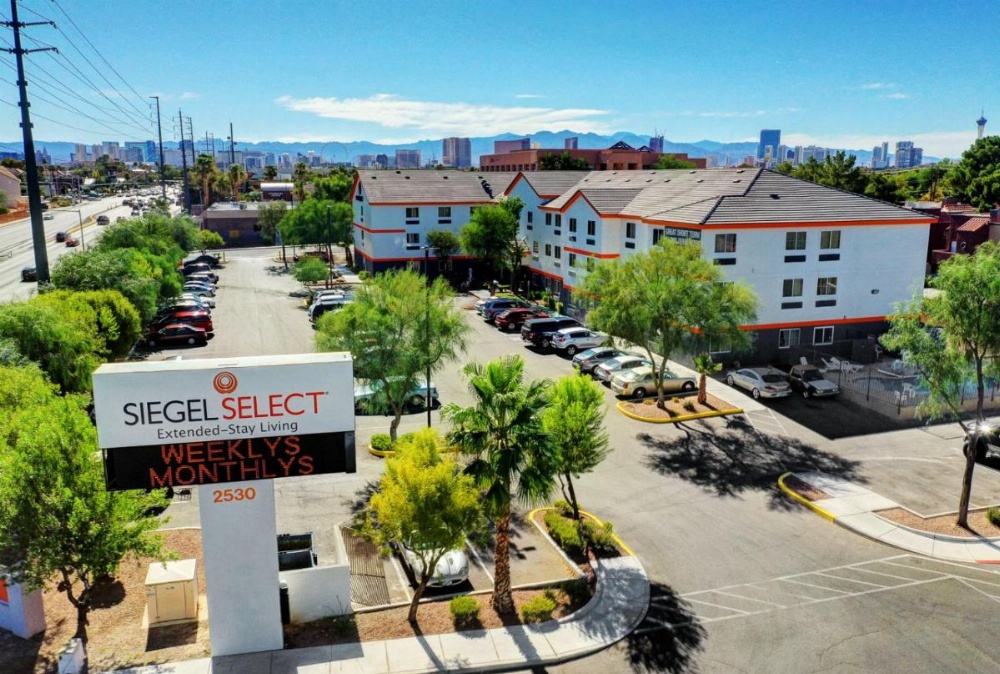 Siegel Select Flamingo Image 6